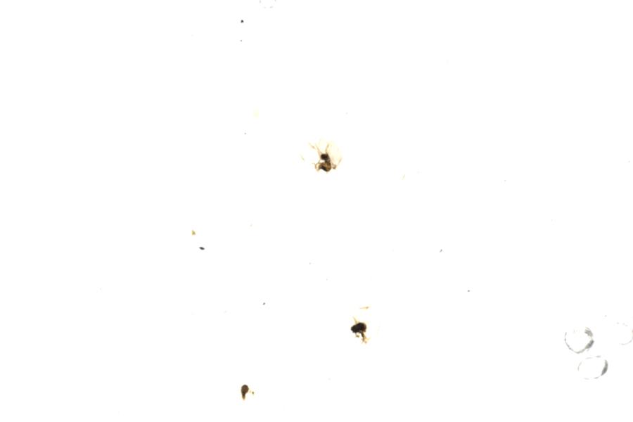 Image 103